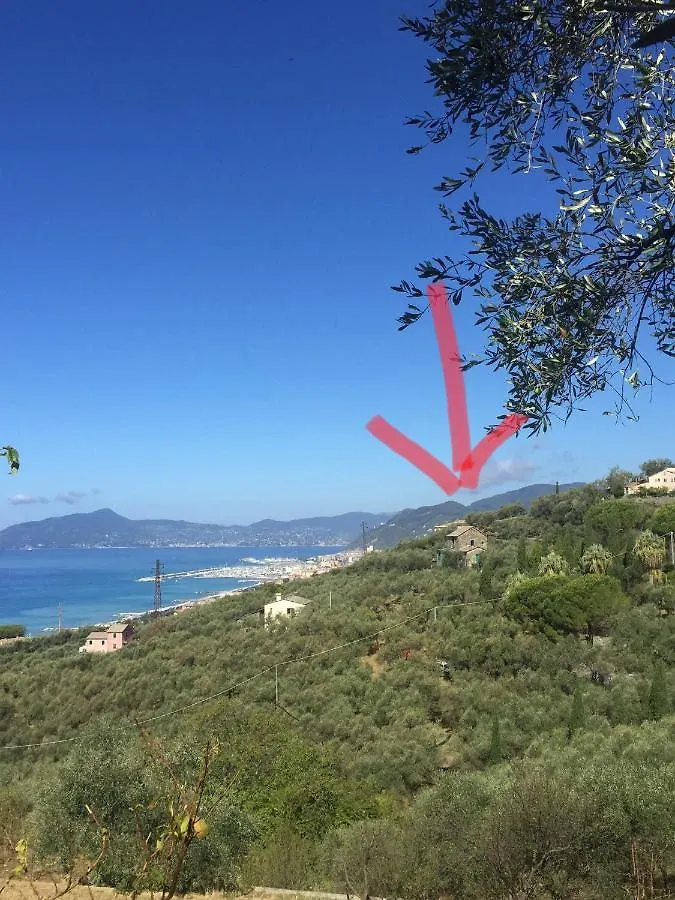 Amapola House Hotel Lavagna 0*,