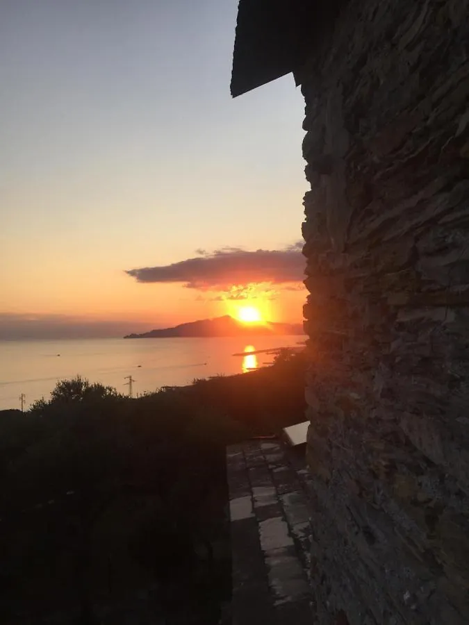 Guest house Amapola House Hotel Lavagna
